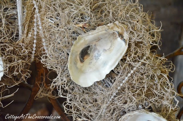 Oyster shell mantel display