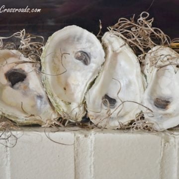 Oyster mantel 080