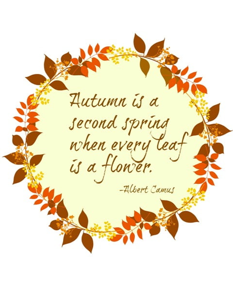 Autumn is a second spring quote