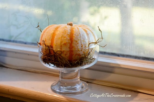 Tiger stripe pumpkin