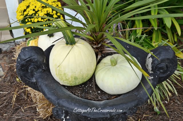 Scarecrows on our fall porch