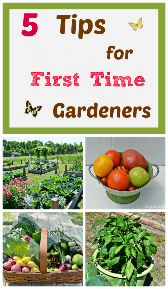 5 tips for first time vegetable gardeners | cottage at the crossroads