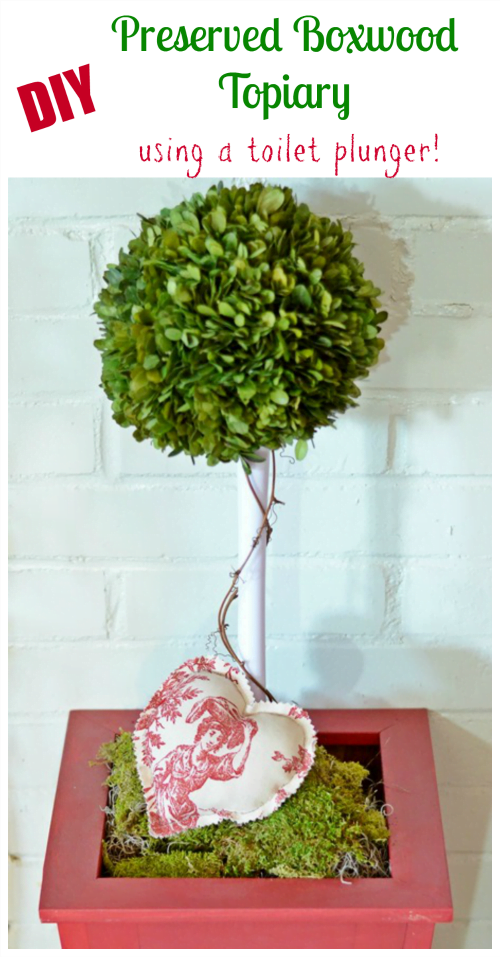 Diy preserved boxwood topiary using a toilet plunger | cottage at the crossroads