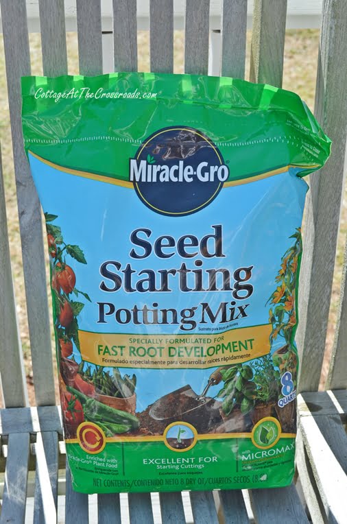 Seed starting tips