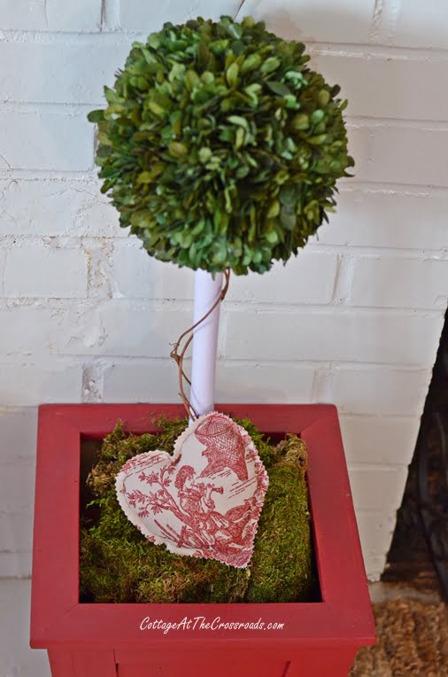 Diy preserved boxwood topiary using a toilet plunger | cottage at the crossroads