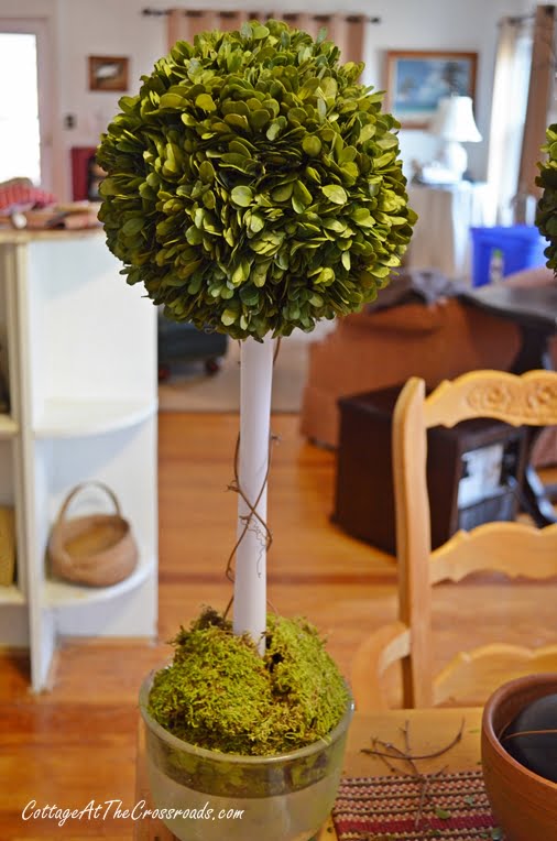 Diy preserved boxwood topiary made with a toilet plunger | cottage at the crossroads