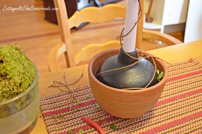 Diy preserved boxwood topiary made with a toilet plunger | cottage at the crossroads