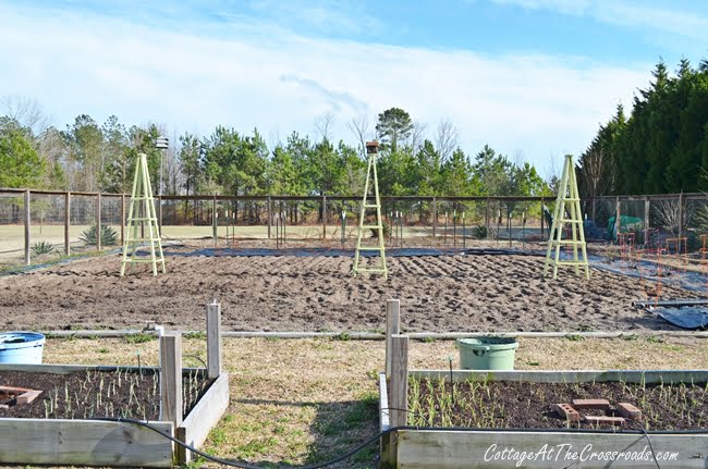 Diy wooden garden obelisk | cottage at the crossroads