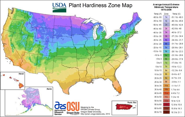 Usda plant hardiness zones