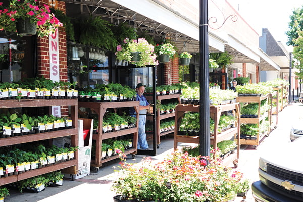 5 tips for first time vegetable gardeners | cottage at the crossroads