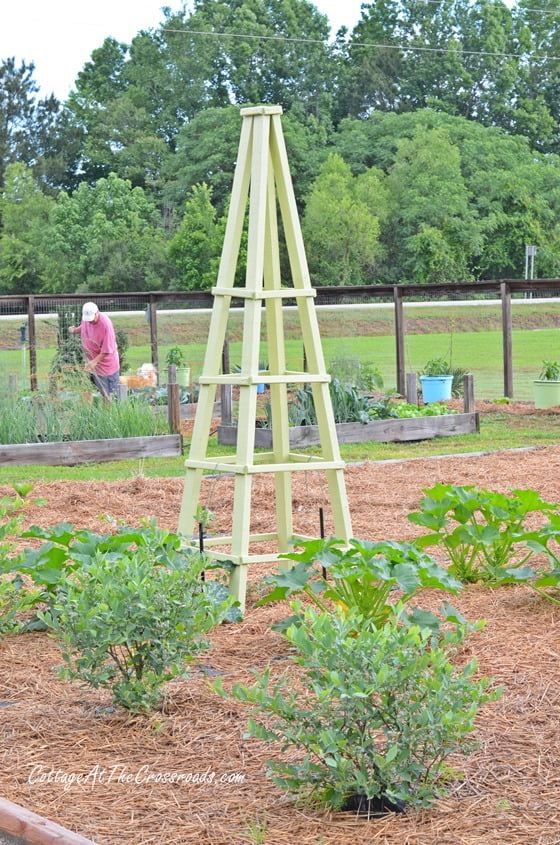 The garden | cottage at the crossroads