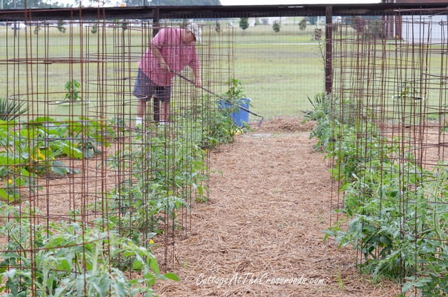 The garden | cottage at the crossroads