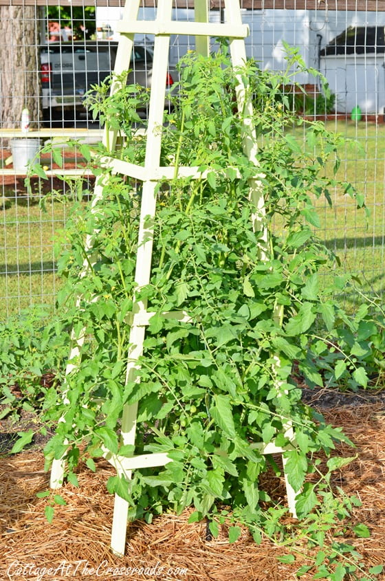 Diy wooden trellis by cottage at the crossroads