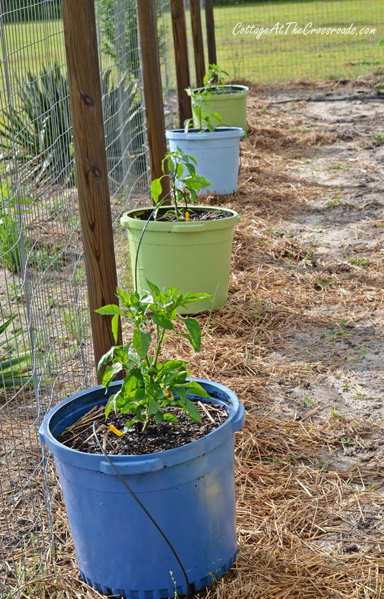 Painted plastic pots in the garden | cottage at the crossroads