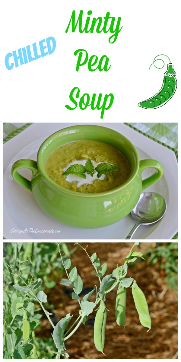 Chilled minty pea soup | cottage at the crossroads