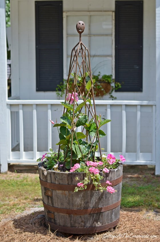 Whiskey barrel planter