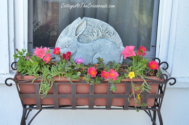 Bunny in a planter | cottage at the crossroads