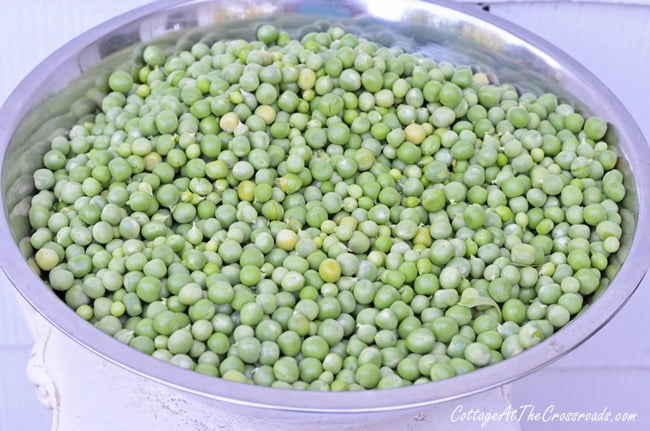 Spring peas | cottage at the crossroads