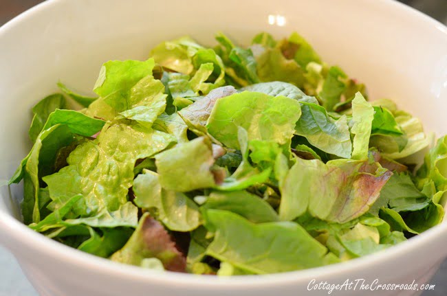 Tortellini mozzarella garden salad | cottage at the crosroads