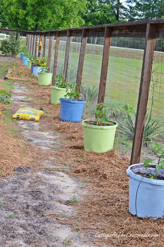 Painted plastic pots in the garden | cottage at the crossroads