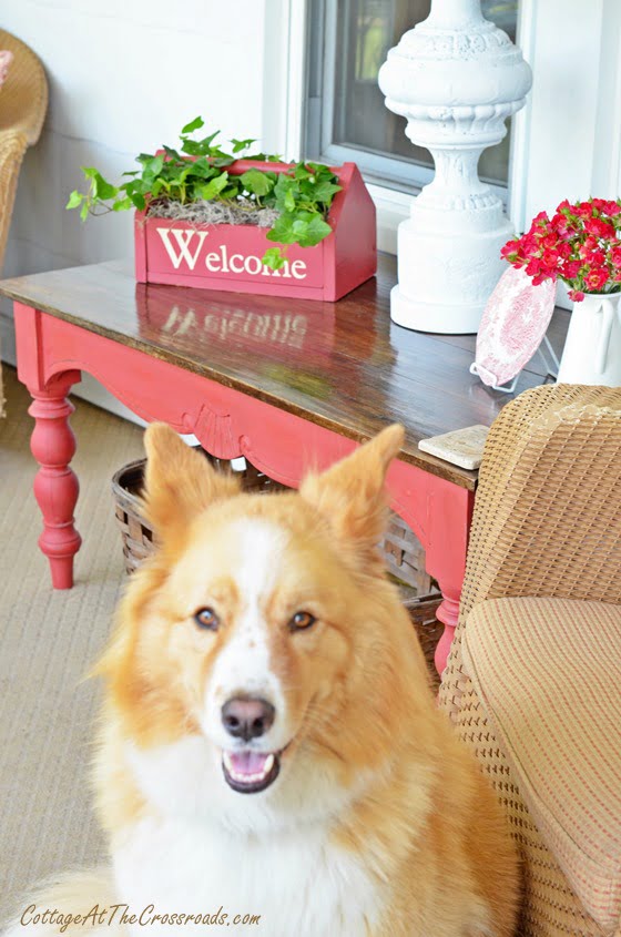 Lucy on the porch | cottage at the crossroads