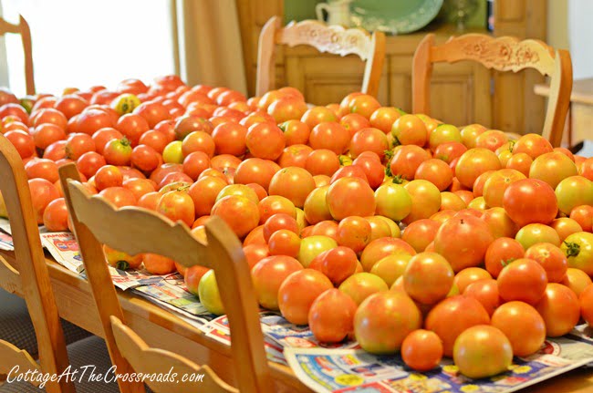 Tomatoes | cottage at the crossroads