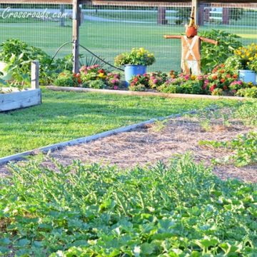 How to have a weed-free vegetable garden | cottage at the crossroads