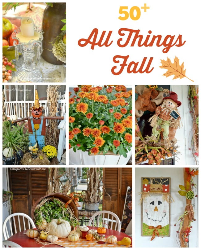 all thing fall