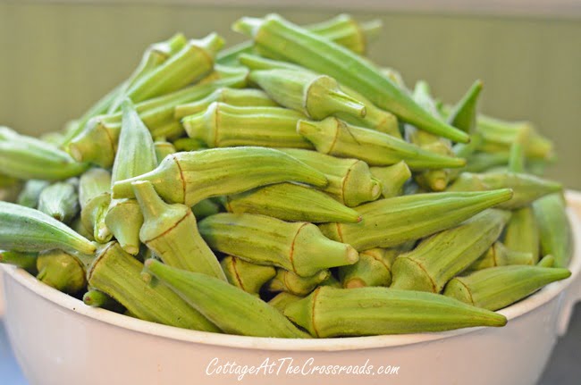 Homemade spicy pickled okra | cottage at the crossroads