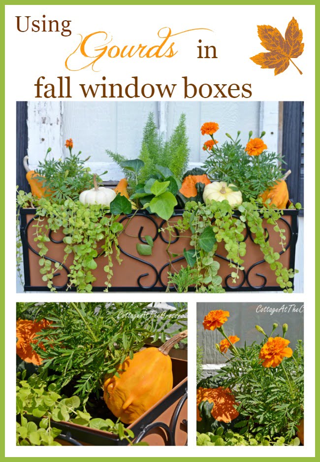 Fall window boxes | cottage at the crossroads