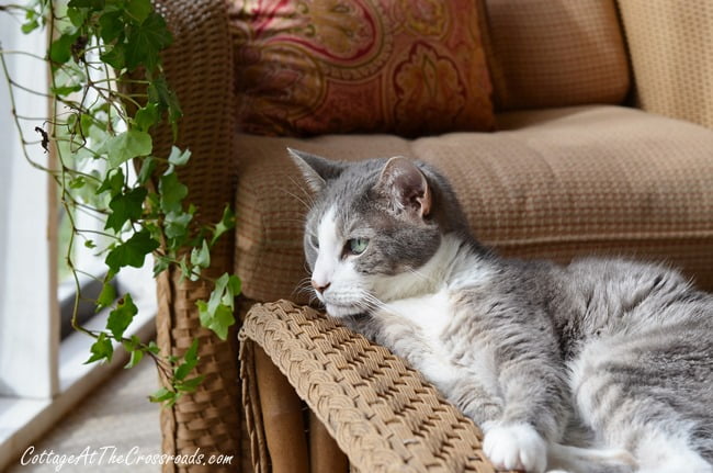 Fall porch | cottage at the crossroads