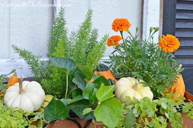 Lunch Bag Pumpkins  Vintage, Paint and more