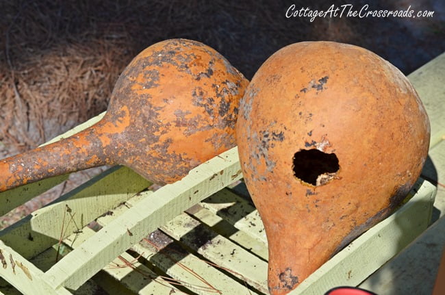 Dried gourds | cottage at the crossroads