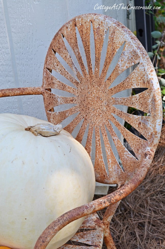 Fall window boxes | cottage at the crossroads