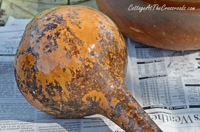 Dipper gourd | cottage at the crossroads
