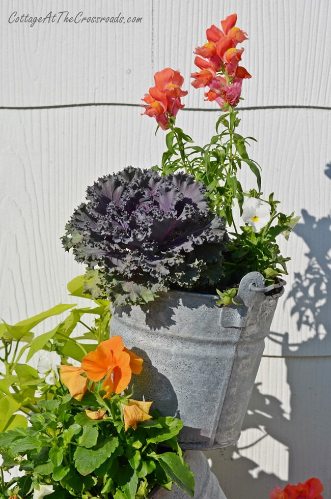 Topsy Turvy Buckets On The Deck Cottage At The Crossroads