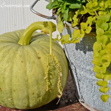 Topsy turvy fall buckets | cottage at the crossroads