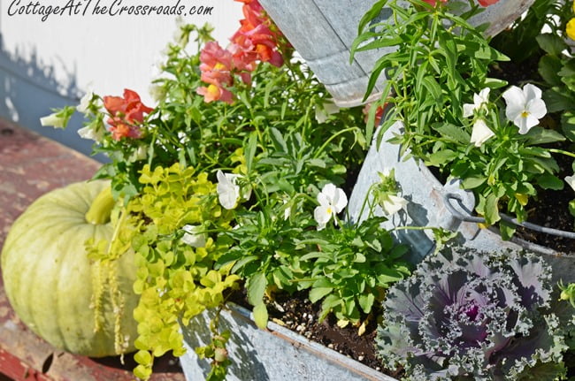 Topsy Turvy Galvanized Buckets - Cottage at the Crossroads