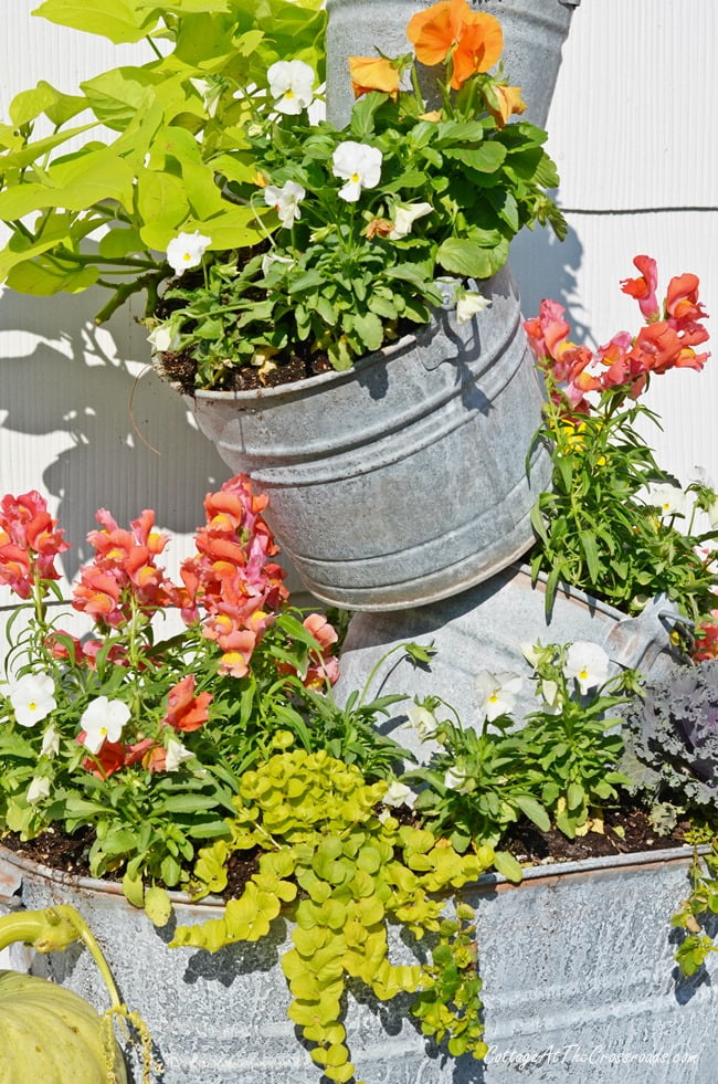 Topsy Turvy Buckets On The Deck Cottage At The Crossroads