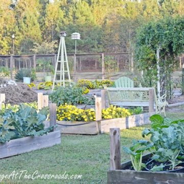 Fall vegetable garden | cottage at the crossroads