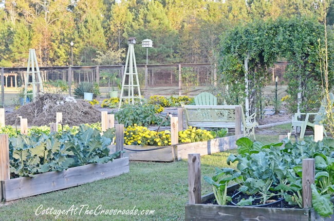 Fall vegetable garden | cottage at the crossroads