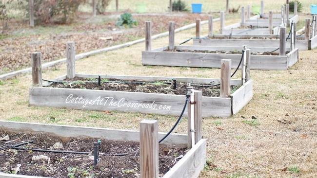 Our garden in the winter | cottage at the crossroads