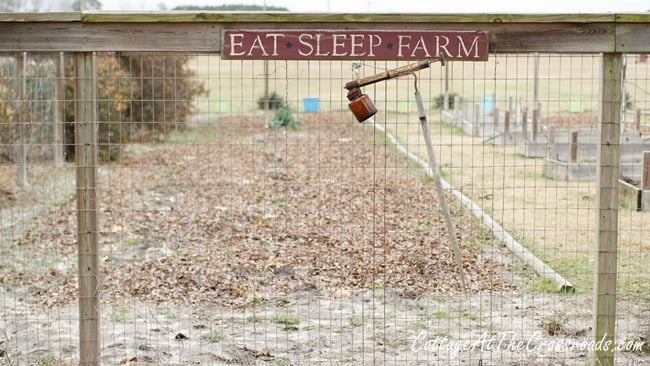 Our garden in the winter | cottage at the crossroads