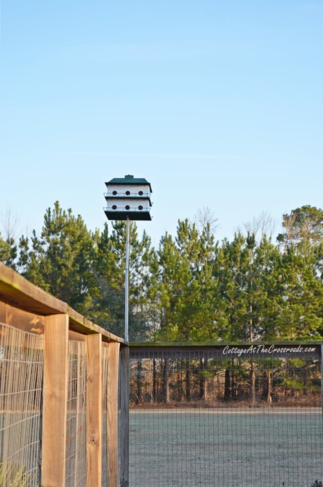 Purple martin house | cottage at the crossroads