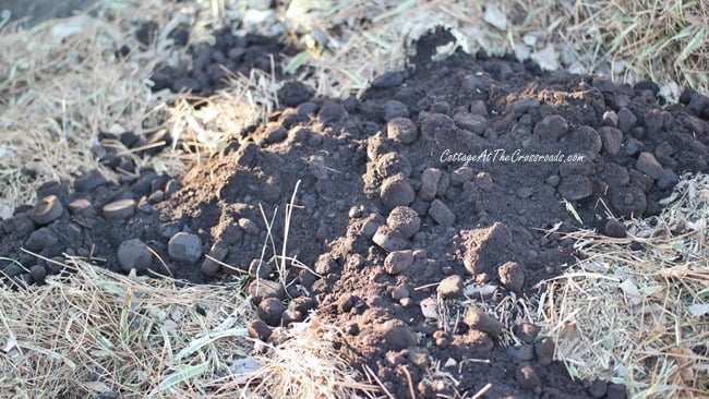 Tips on how to interpret soil test results | cottage at the crossroads