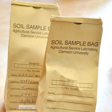 Soil test bags