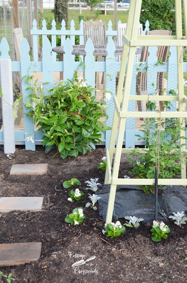 New flower bed | cottage at the crossroads