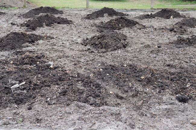 Piles of compost | cottage at the crossroads