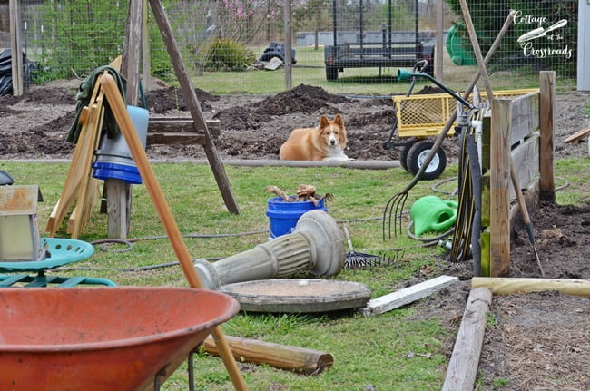 A mess in the garden | cottage at the crossroads