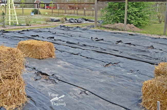 Landscaping fabric used as weed prevention in the garden | cottage at the crossroads